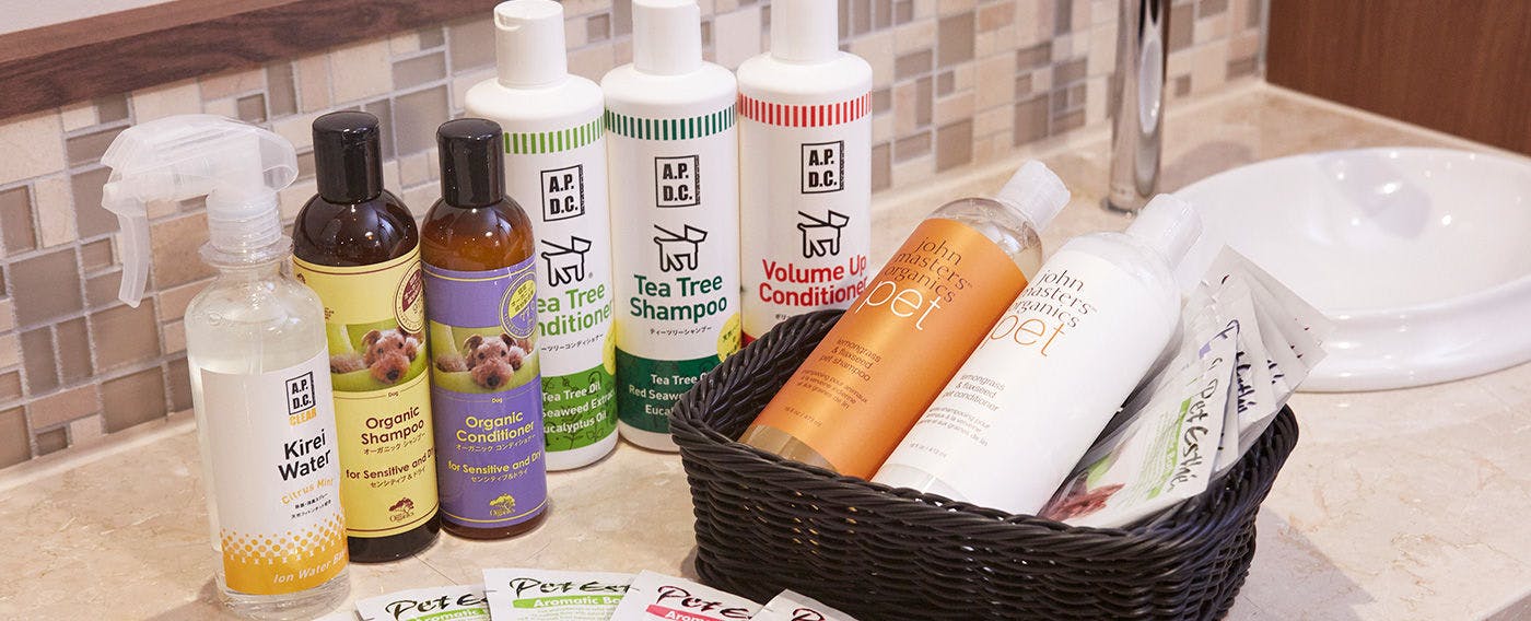 Lucian Old Karuizawa