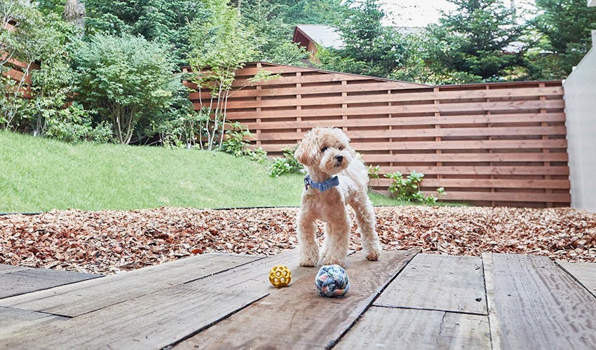 ルシアン旧軽井沢 の空室状況を確認する 宿泊予約は 一休 Com ルシアン旧軽井沢 の空室状況を確認する 宿泊予約は 一休 Com