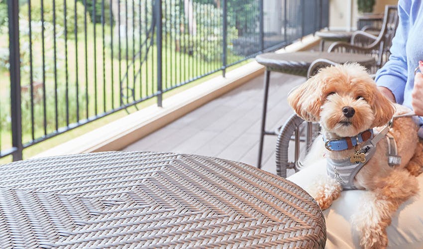 ルシアン旧軽井沢 の空室状況を確認する 宿泊予約は 一休 Com ルシアン旧軽井沢 の空室状況を確認する 宿泊予約は 一休 Com