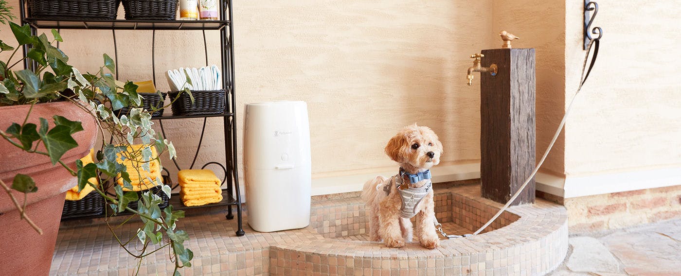 ルシアン旧軽井沢 の空室状況を確認する 宿泊予約は 一休 Com