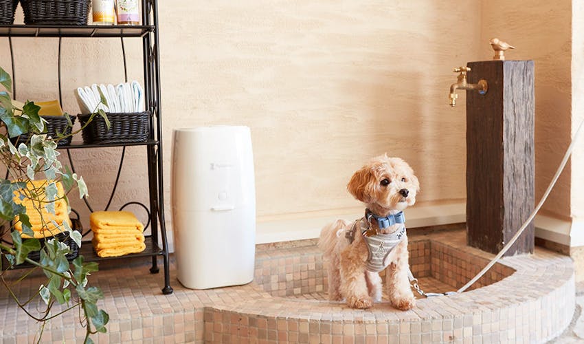 ルシアン旧軽井沢 の空室状況を確認する 宿泊予約は 一休 Com ルシアン旧軽井沢 の空室状況を確認する 宿泊予約は 一休 Com