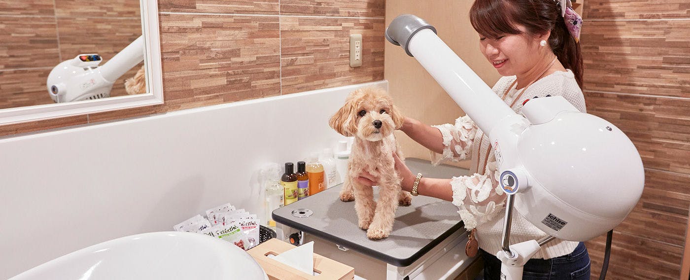 ルシアン旧軽井沢 の空室状況を確認する 宿泊予約は 一休 Com