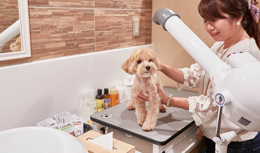 ルシアン旧軽井沢 の空室状況を確認する 宿泊予約は 一休 Com ルシアン旧軽井沢 の空室状況を確認する 宿泊予約は 一休 Com