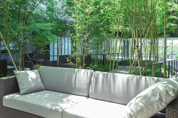 ลานกลาง