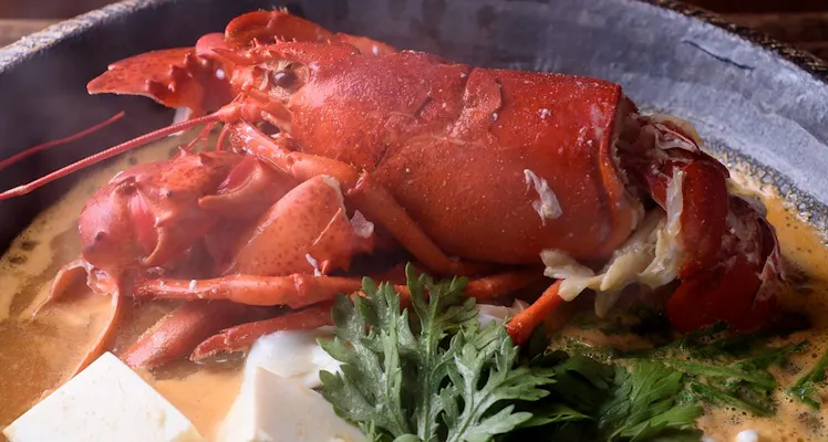 近畿 大阪以外 美食を叶える宿 選 宿泊予約は 一休 Com 近畿 大阪以外 美食を叶える宿 選 宿泊予約は 一休 Com