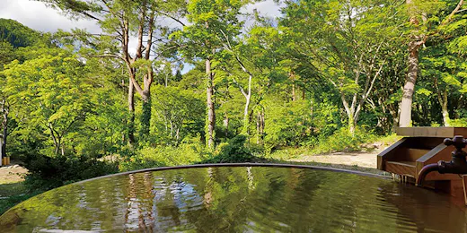 湯けむりの宿 稲住温泉(共立リゾート)