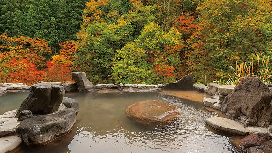 Yukemuri no Yado Inazumi Onsen (Kyoritsu Resort)
