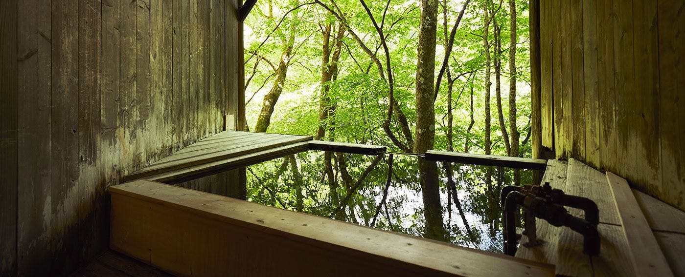 ペンション 歩絵夢 宿泊予約なら Yahoo トラベル