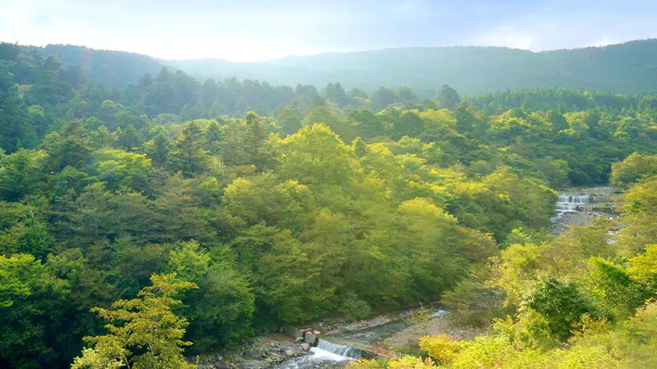 Shelter Garden Nikko