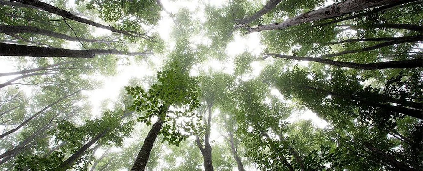 Resor Ski Appi Kogen