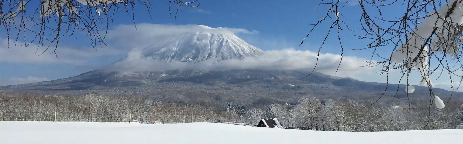 風景