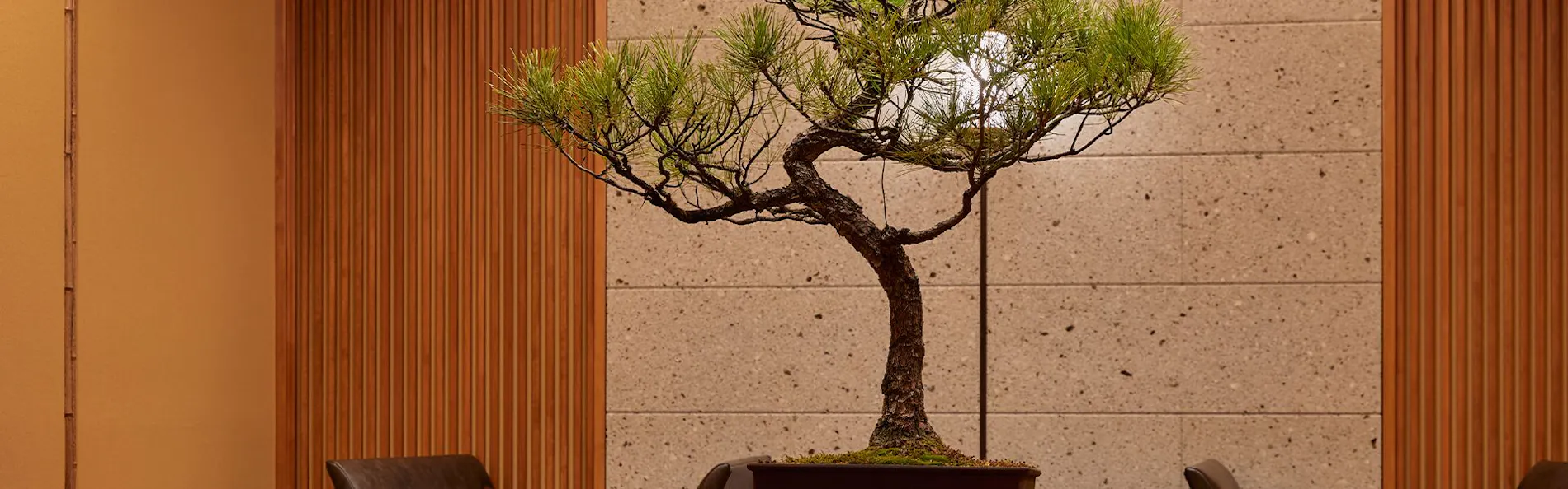 蕎麦と地酒 御宿檜山