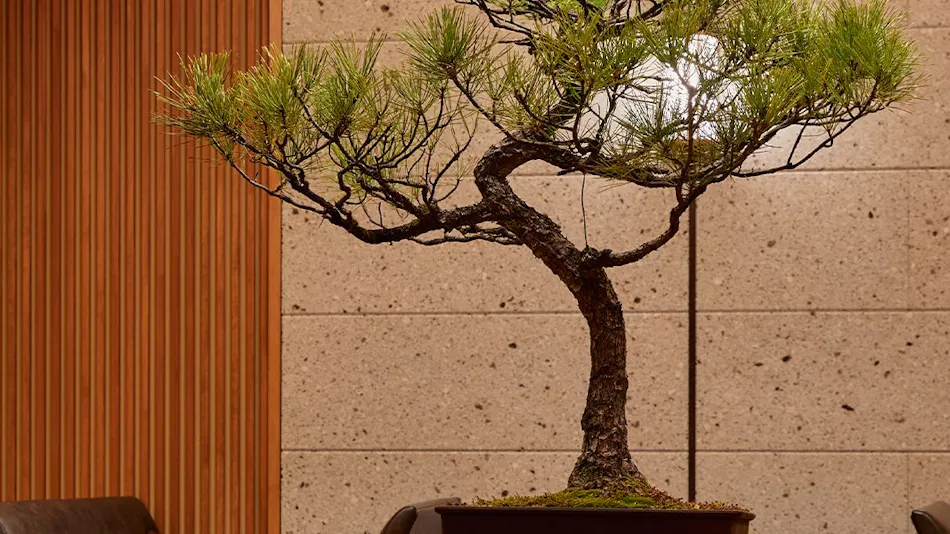 Soba and Sake Oyado HIYAMA