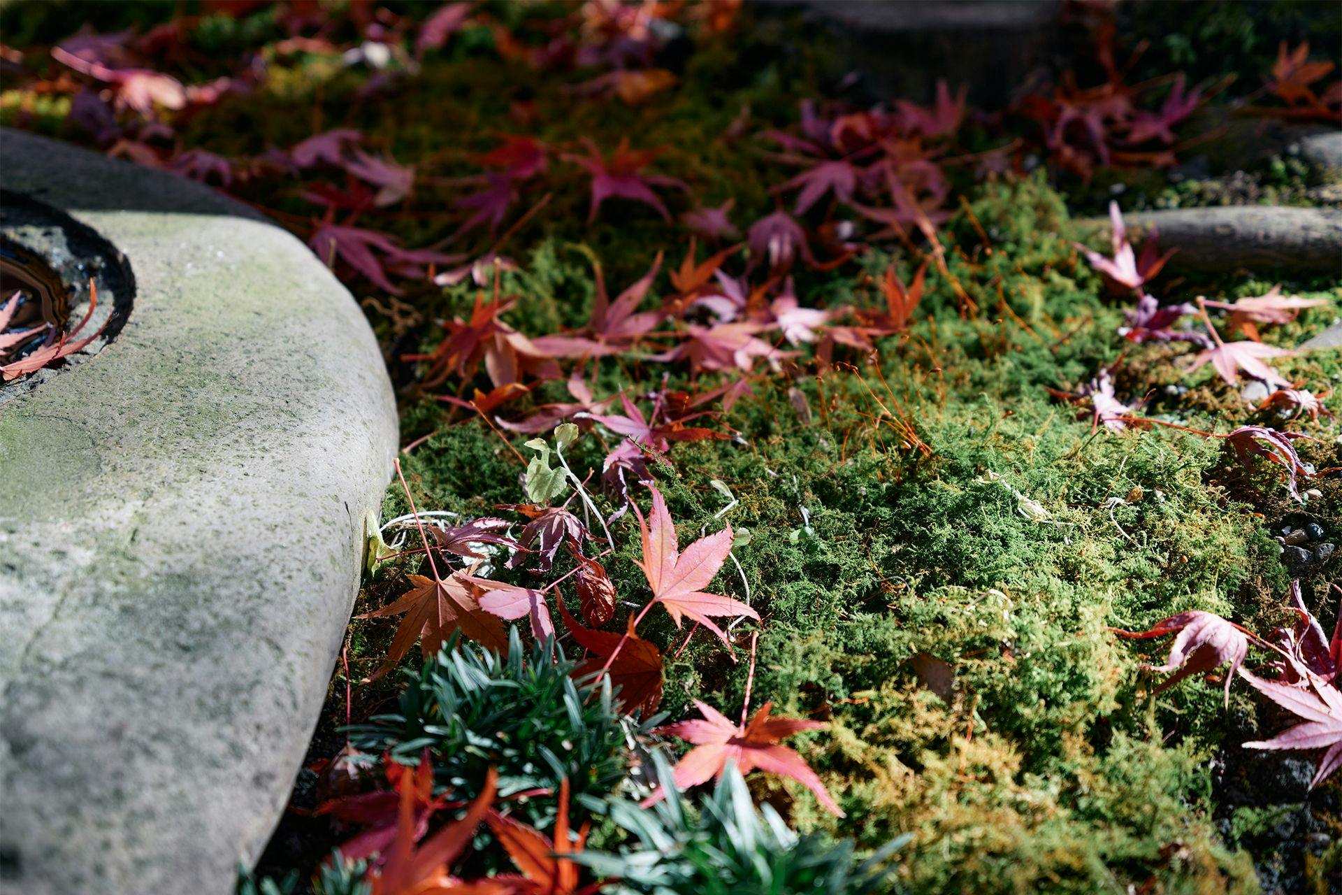 Soba and Sake Oyado HIYAMA
