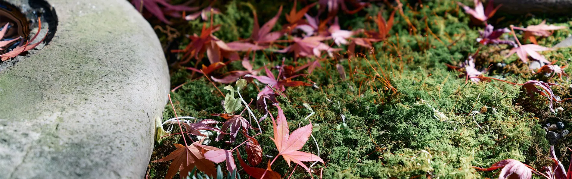蕎麦と地酒 御宿檜山