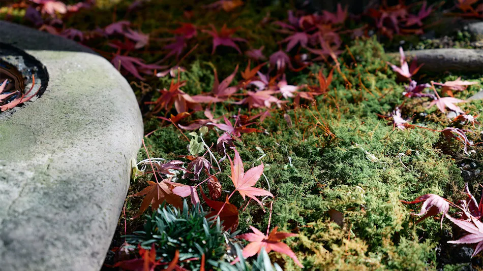 Soba and Sake Oyado HIYAMA