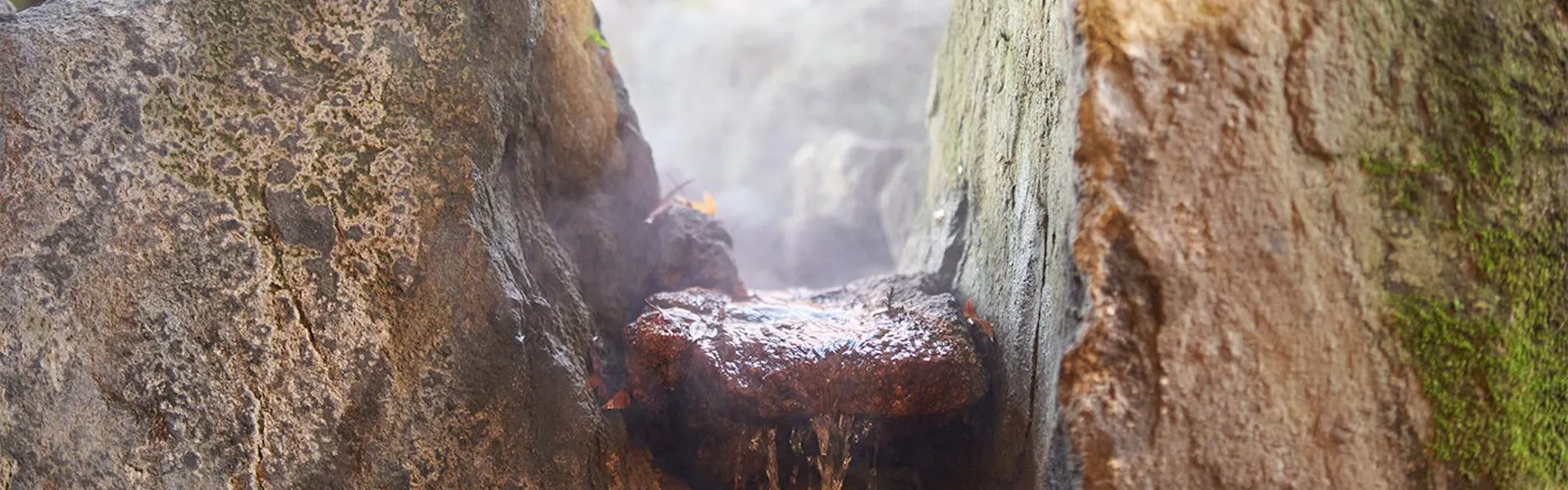 湯布院 樂涌