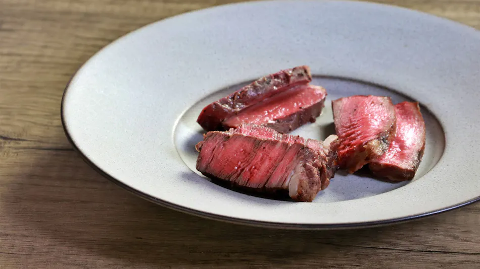 Hotel Shiori in the Forest of 100 Years