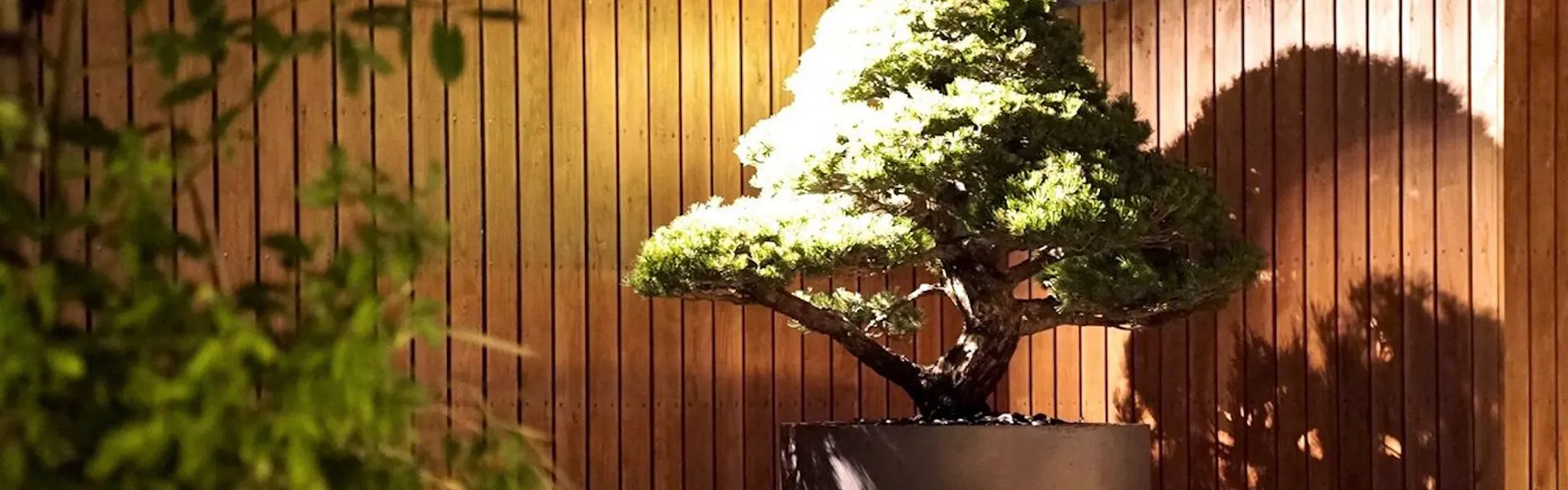hotel nansui