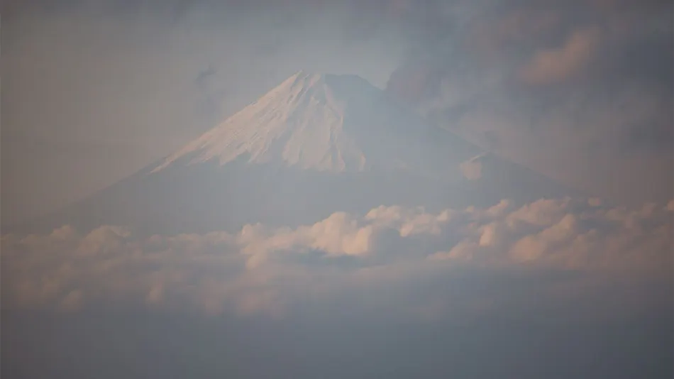 Fujiseiran