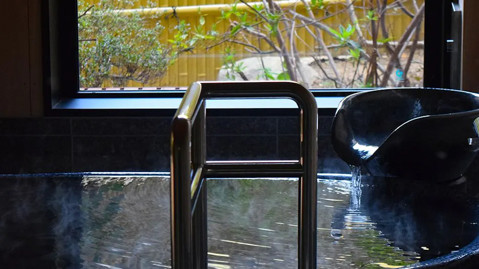 Kyokusui no Niwa Hotel Gyokusen