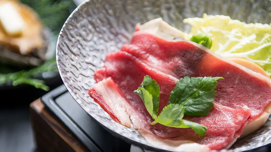 Izumo Kamigami Enmusubi no Yado Konya