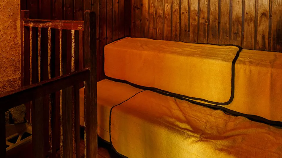 Hita Onsen Kizantei Hotel
