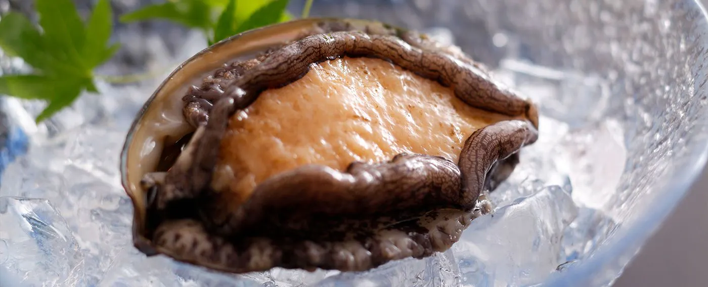 หอยเป๋าฮื้อ