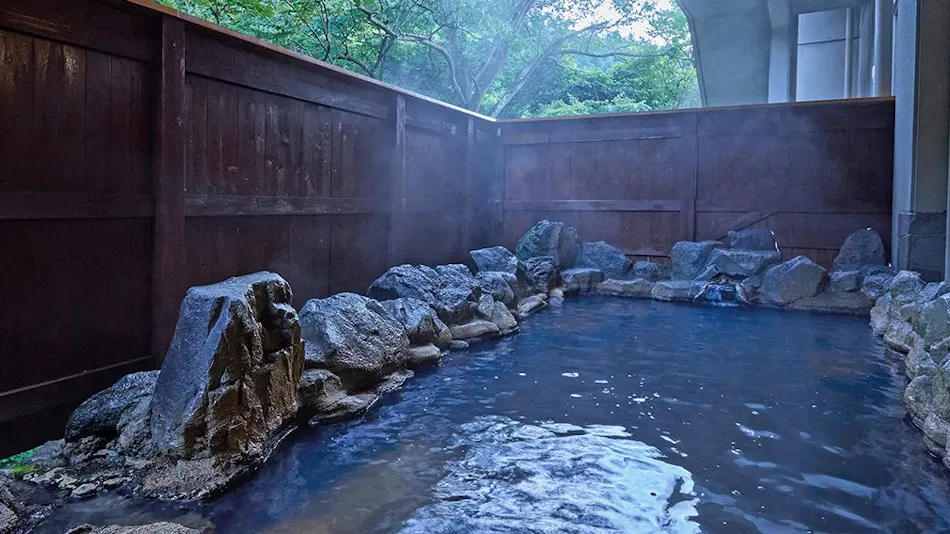 Hotel Kameya