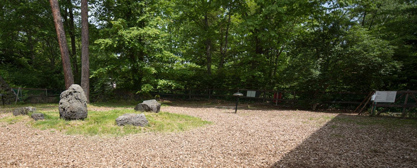 이미지 a_tpc_t5p_220728.jpg.jpg