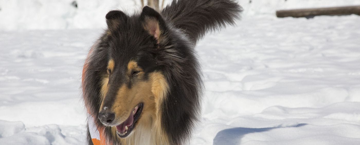 이미지 a_tpc_tp7_220728.jpg.jpg