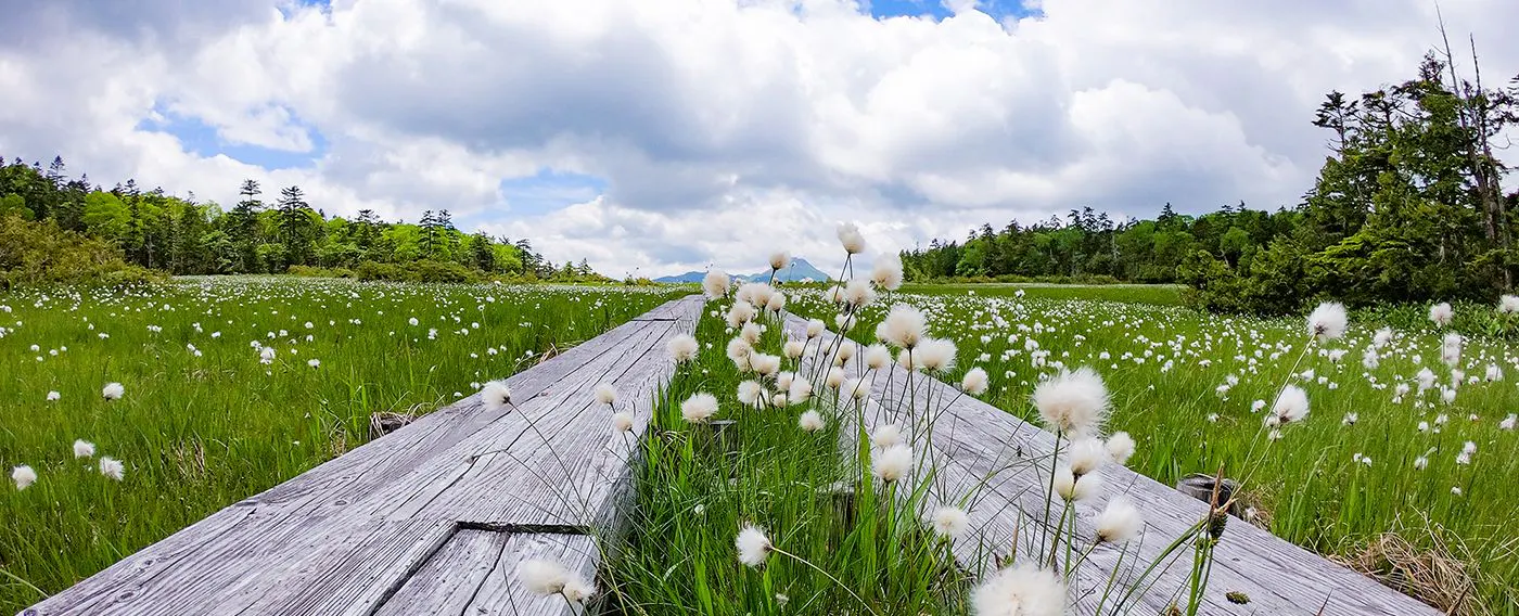 บริเวณโดยรอบ