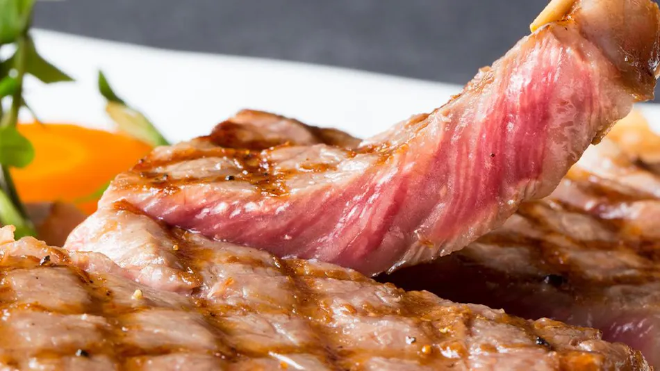 Kinosaki Onsen Tajima Beef Specialty Inn Koyado En