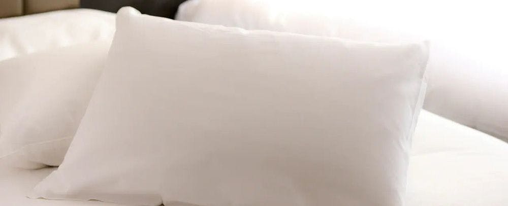 หมอนขนเป็ด