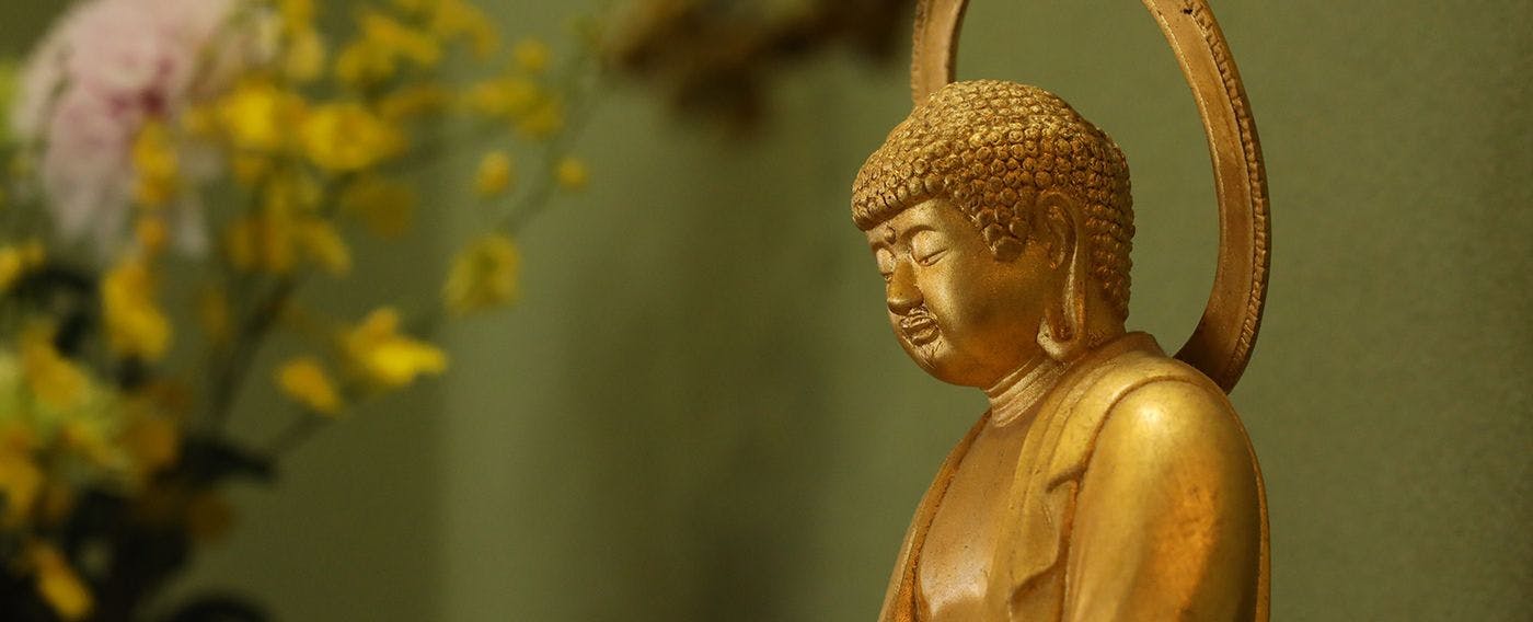 การต้อนรับ