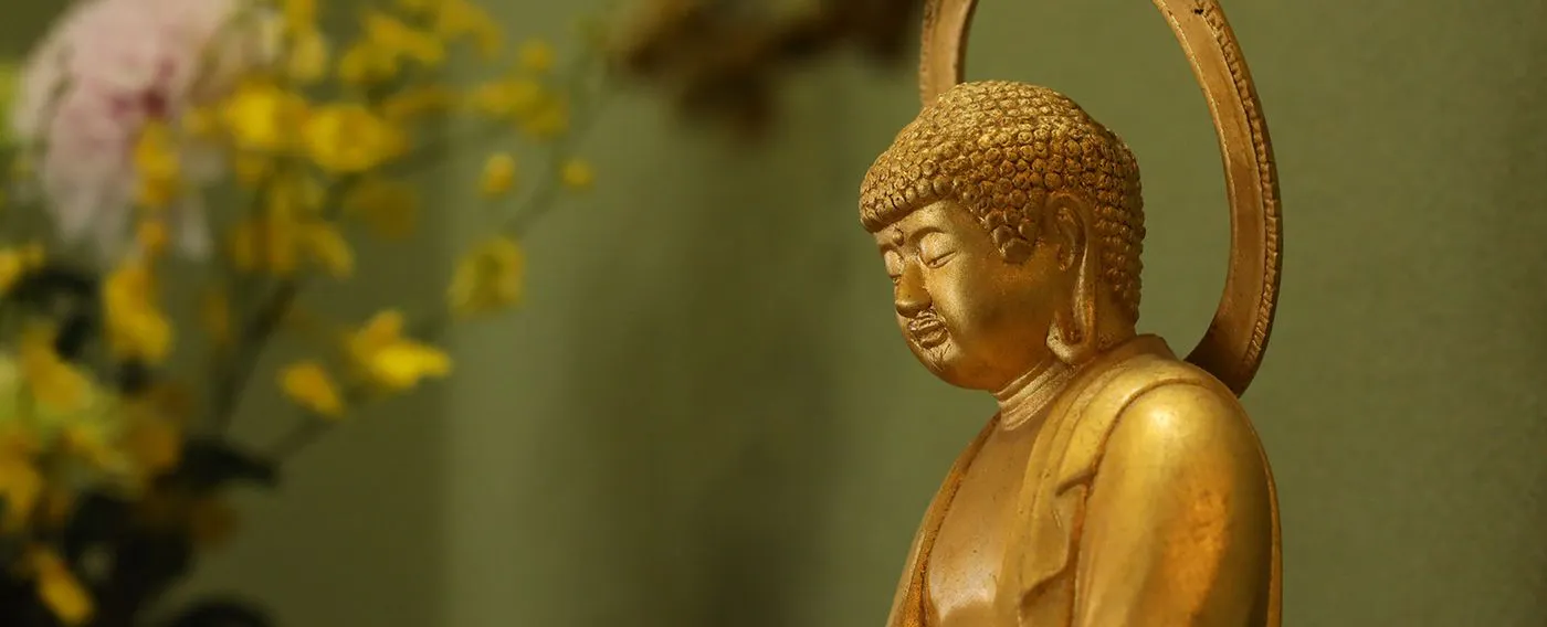 การต้อนรับ