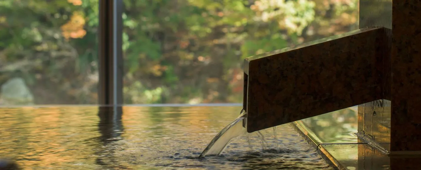 Kinugawa Plaza Hotel