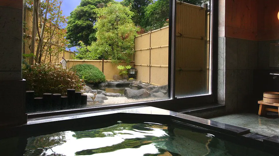 Taste and Hot Spring Inn New Tomiyoshi