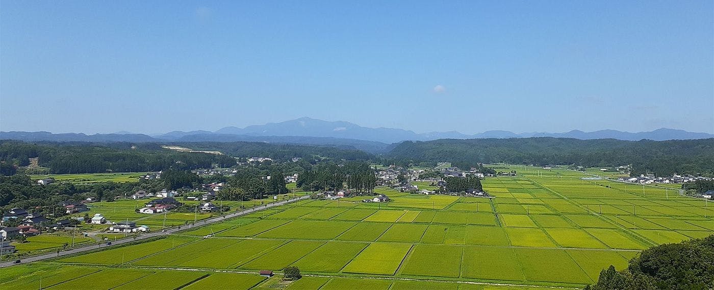 วิวจากห้องพัก