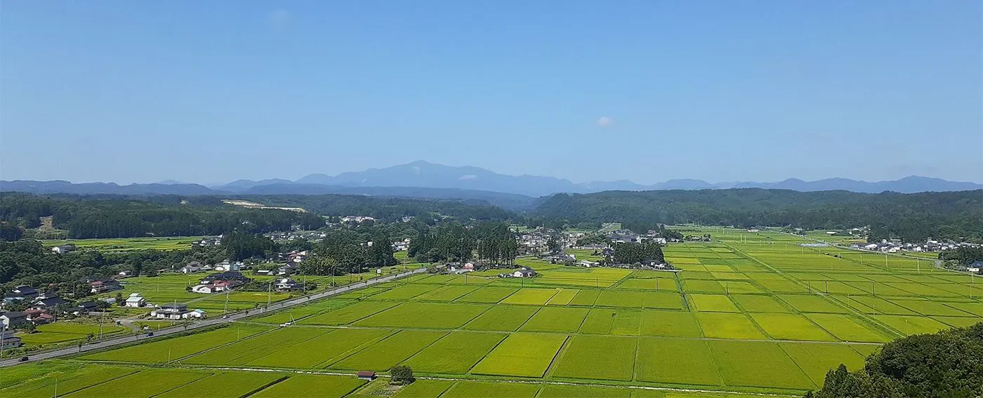 วิวจากห้องพัก