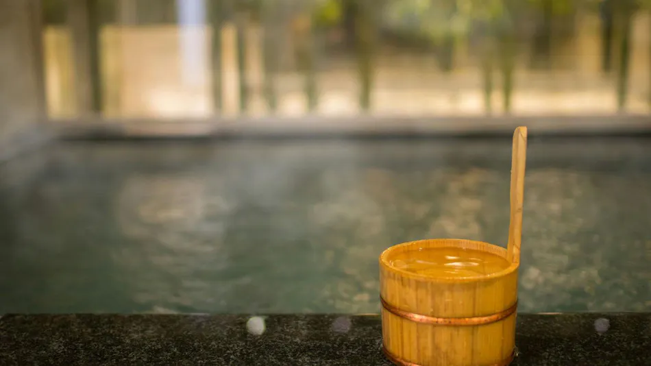 Natural Hot Spring Izuru no Yu Super Hotel Oyama