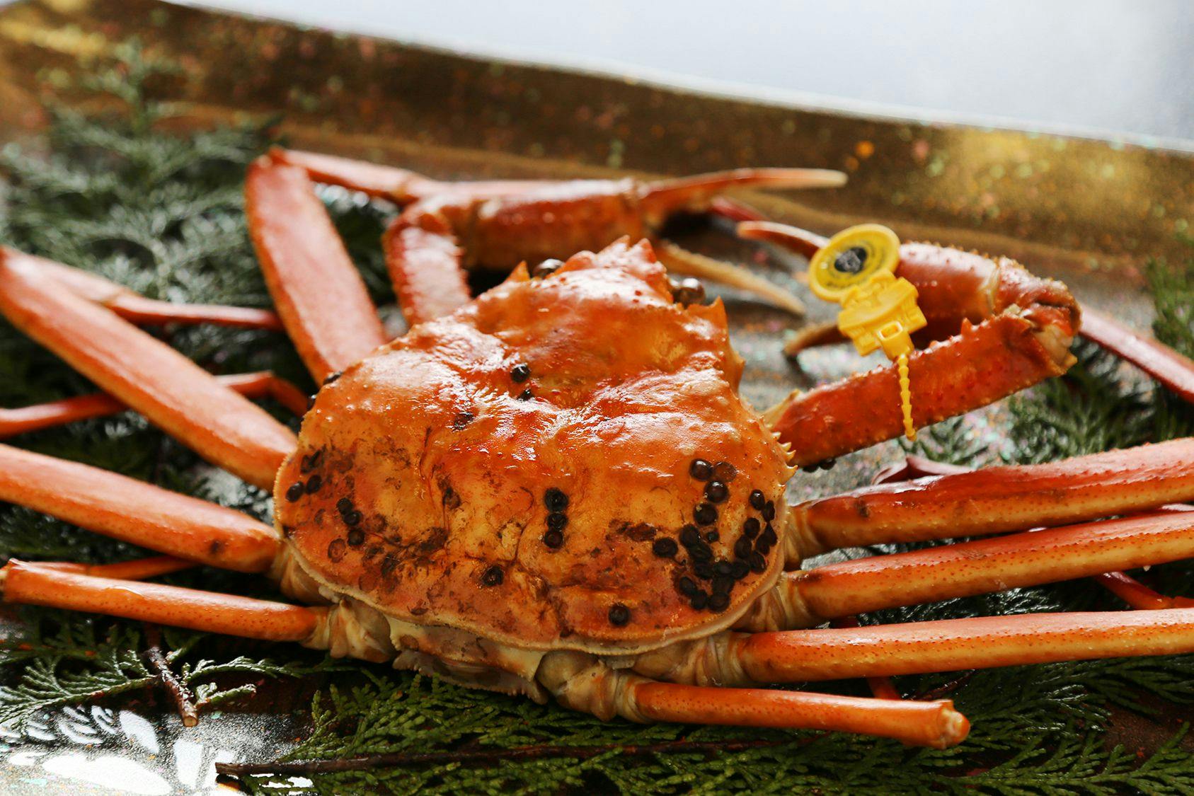 Resort Ryokan Yadokari