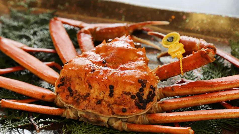 Resort Ryokan Yadokari