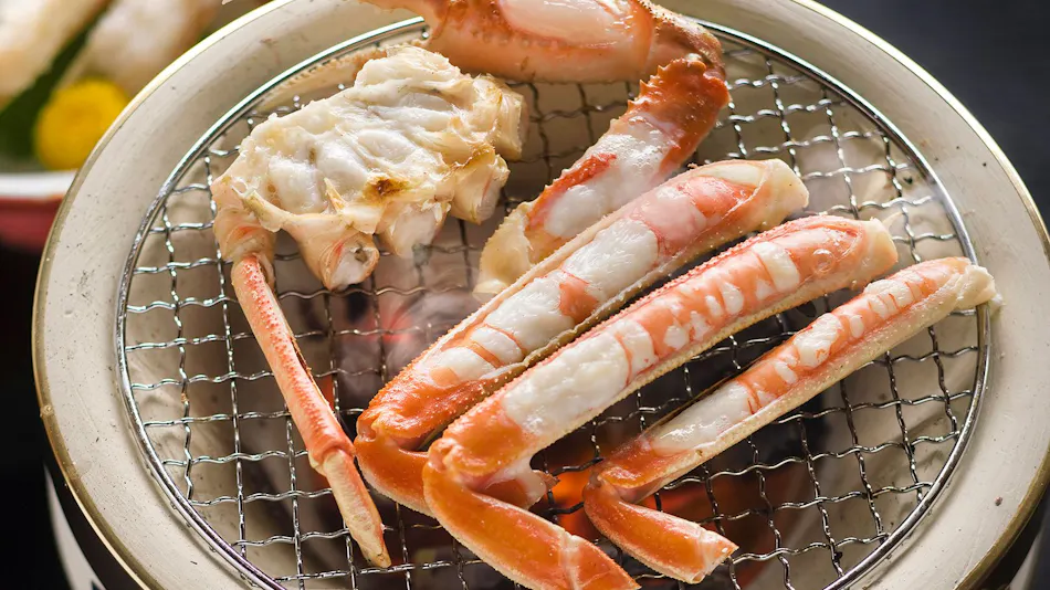 Resort Ryokan Yadokari