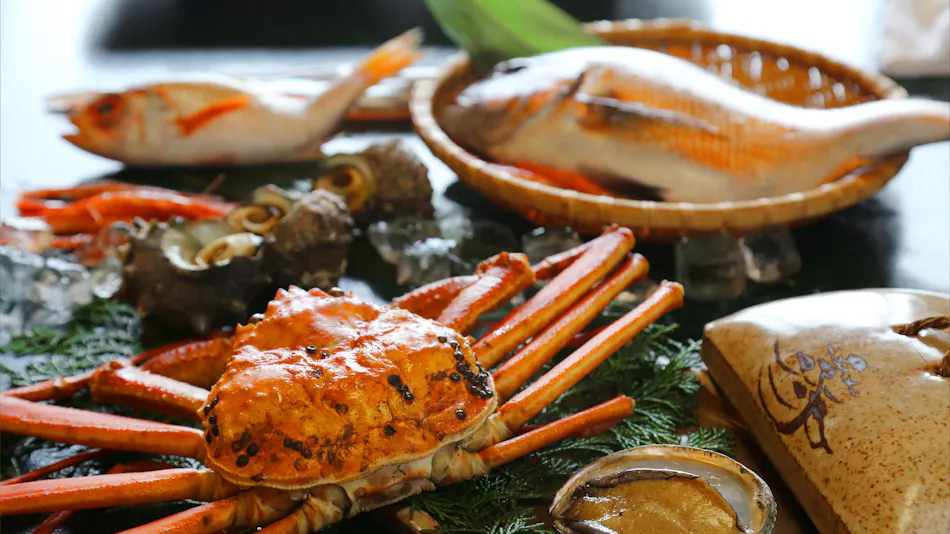 Resort Ryokan Yadokari