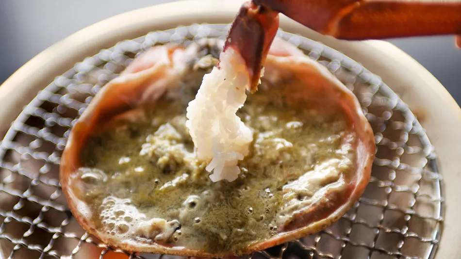 Resort Ryokan Yadokari