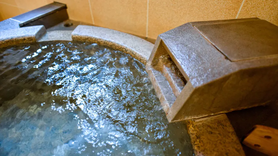 Kamegawa Onsen Yuyu