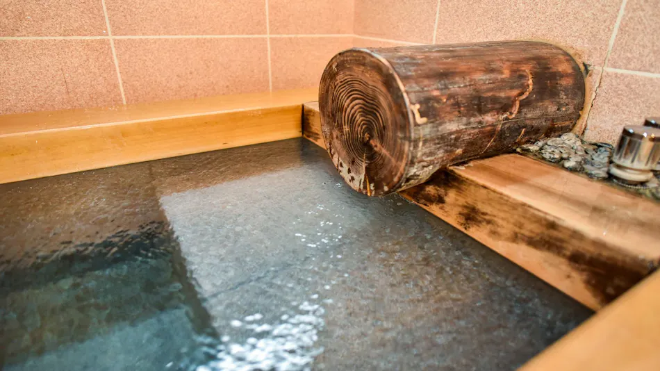 Kamegawa Onsen Yuyu