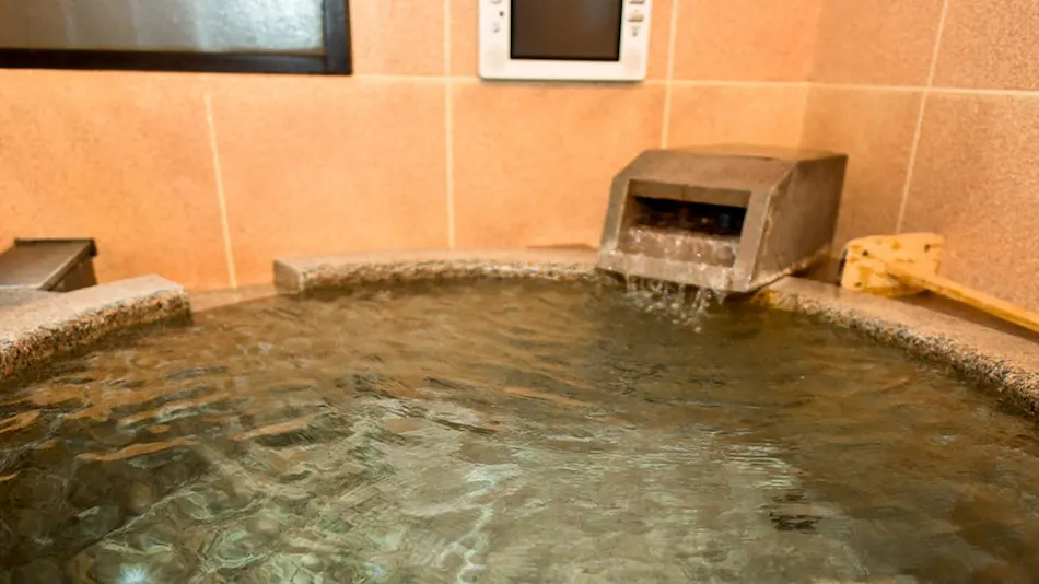 Kamegawa Onsen Yuyu