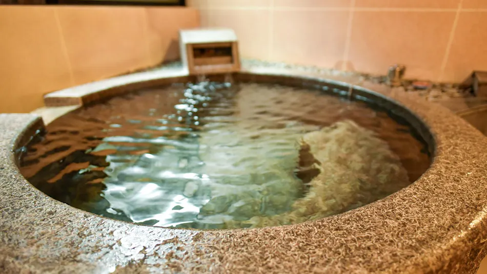 Kamegawa Onsen Yuyu